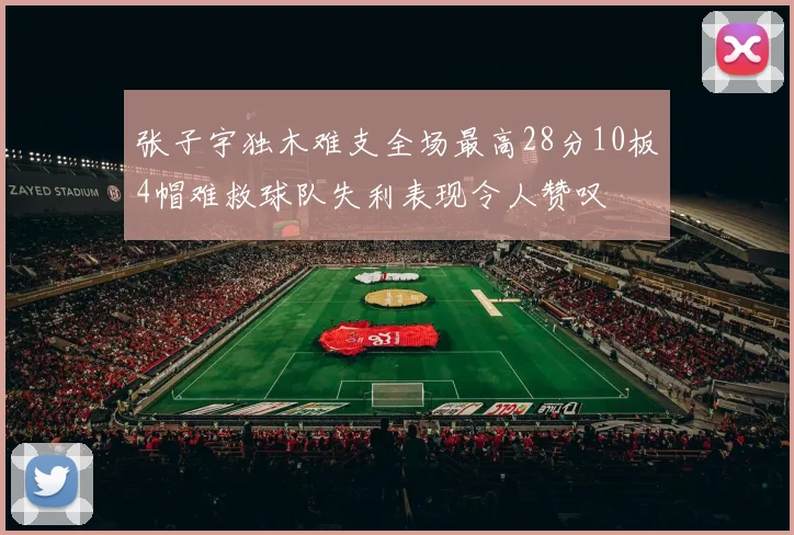 张子宇独木难支全场最高28分10板4帽难救球队失利表现令人赞叹